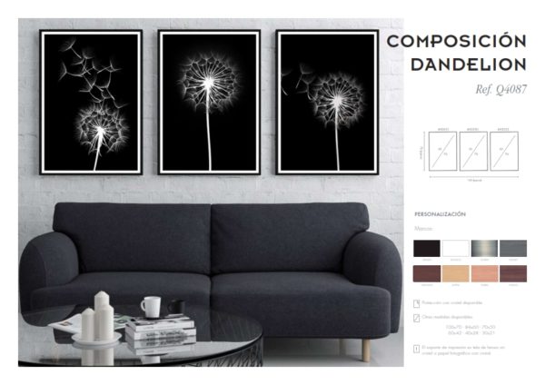 Cuadros de diseño Dandelion