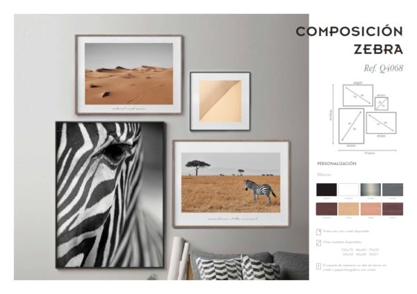 Cuadros de diseño Zebra