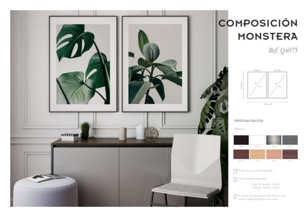 Cuadros de diseño Monstera